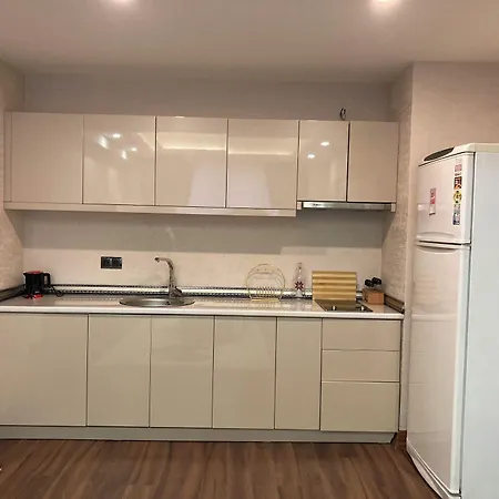 Halic Istanbulská provincie