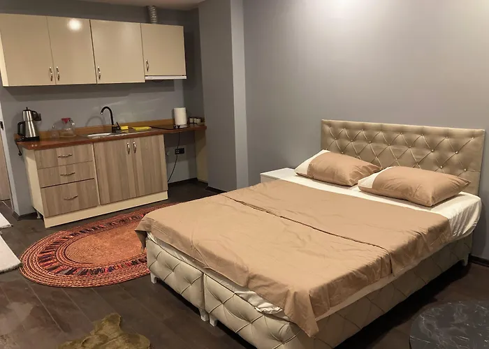 Halic Istanbulská provincie